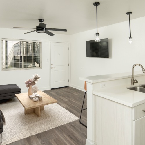 spacious living room with natural lighting