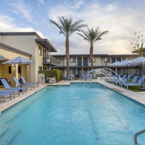 pool with chairs and palm trees
