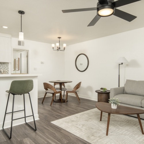 Open space living area with natural lighting